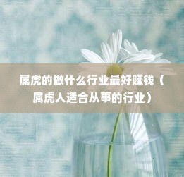 属虎的做什么行业最好赚钱（属虎人适合从事的行业）