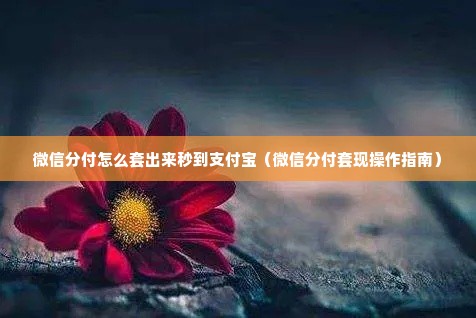 微信分付怎么套出来秒到支付宝（微信分付套现操作指南）