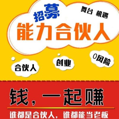 没合伙人做什么赚钱 没合伙人做什么赚钱快