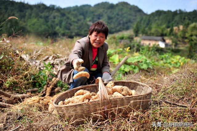 农民回家做什么赚钱多点 农民回家做什么赚钱多点好