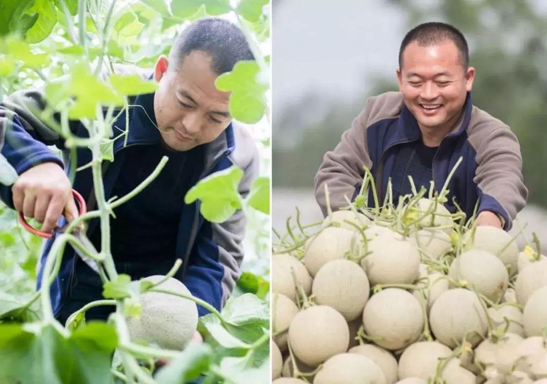 做什么农业赚钱专业知识 搞什么农业项目赚钱