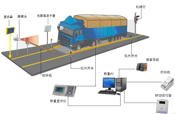 亳州智能称重系统品牌排行