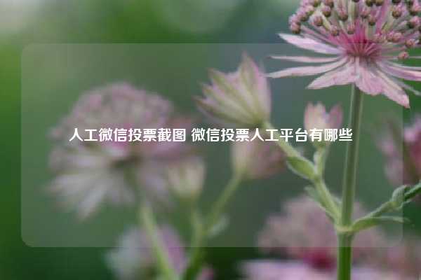 人工微信投票截图 微信投票人工平台有哪些