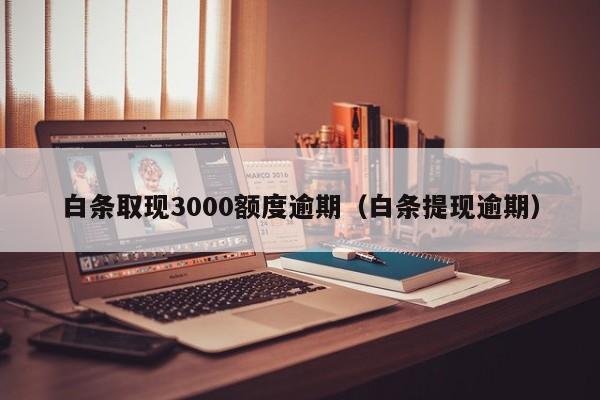 白条取现3000额度逾期（白条提现逾期）