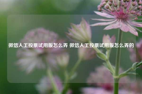 微信人工投票试用版怎么弄 微信人工投票试用版怎么弄的