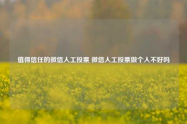 值得信任的微信人工投票 微信人工投票做个人不好吗