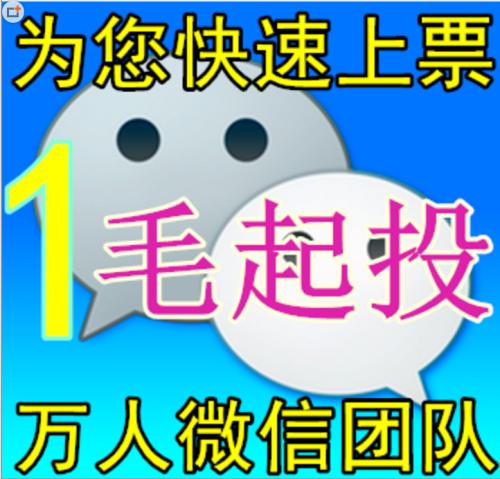 河南微信人工投票团队 河南微信人工投票团队有哪些