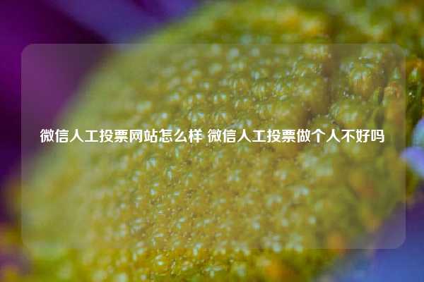 微信人工投票网站怎么样 微信人工投票做个人不好吗