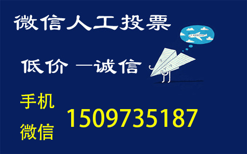 微信人工投票怎么弄 微信人工投票是怎么投的