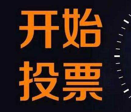 北京人工投票服务 北京人工投票服务平台官网