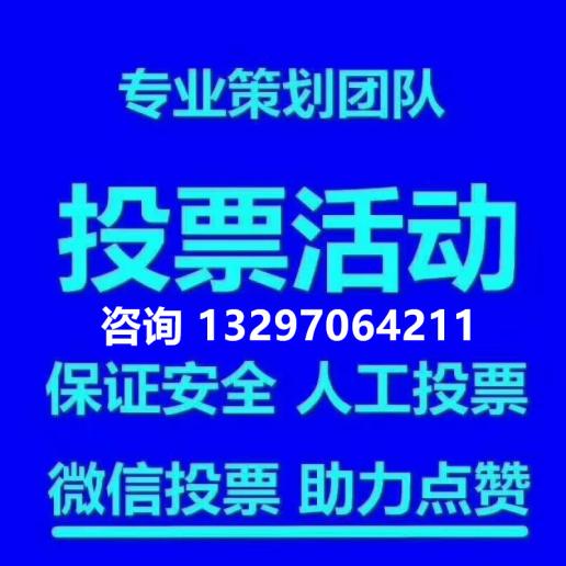 北京人工投票服务 北京人工投票服务平台官网