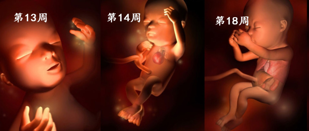 婴儿的成长变化过程 1一12个月宝宝行为表顺口溜
