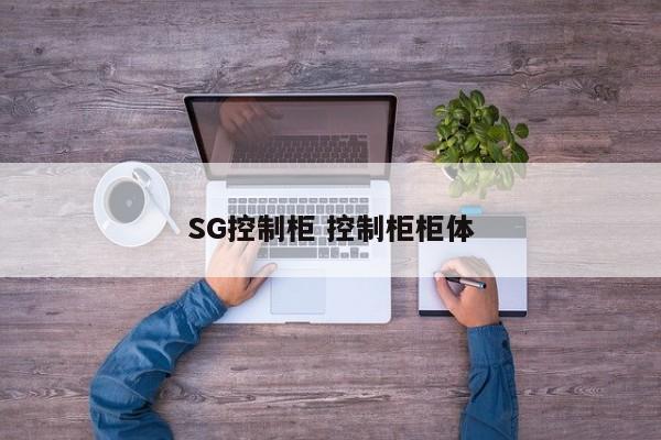 SG控制柜 控制柜柜体