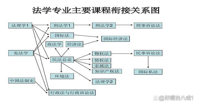 政策和法律的区别(政策和法律的区别与联系)