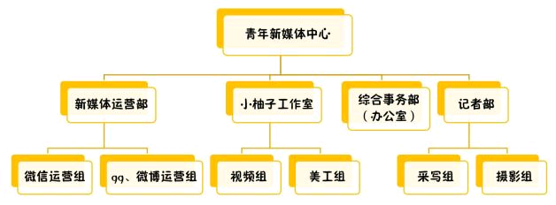 工作室的运营(工作室运营是做什么的)