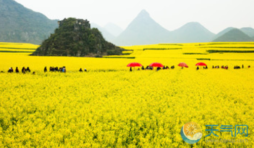 广州清明节2019去哪玩(广州清明节2019去哪玩最好)