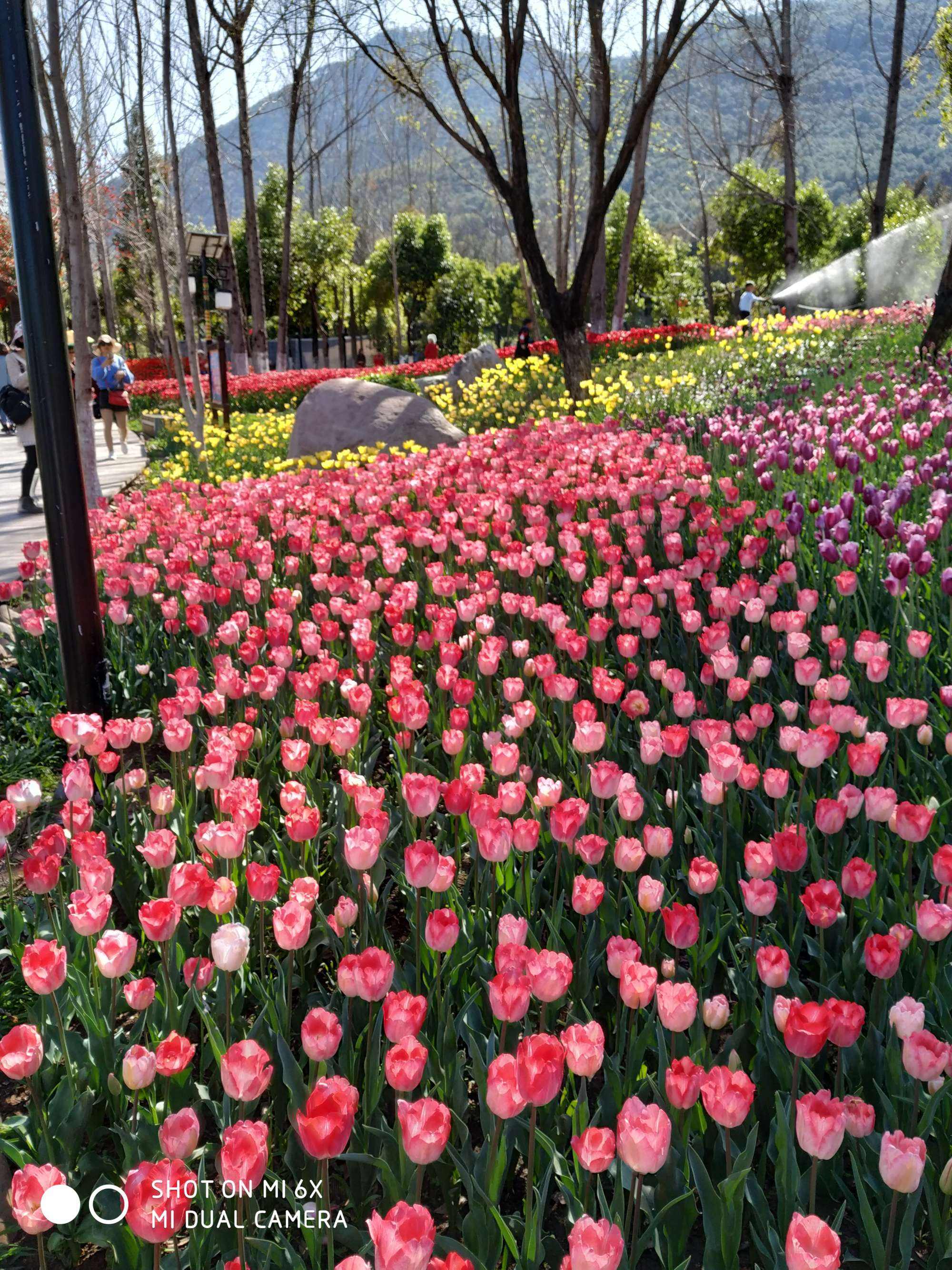 春暖花开季节适合去哪玩(春暖花开季节适合去哪玩呢)