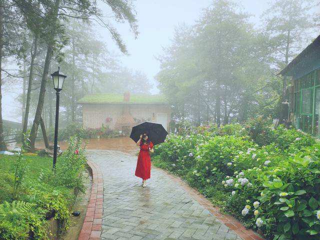 雨天上海适合去哪玩(上海雨天去哪里玩比较好玩)