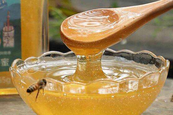 蜂蜜产妇能吃吗(产妇能不能吃蜂蜜?)
