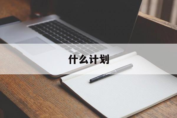 什么计划(什么计划填动词)